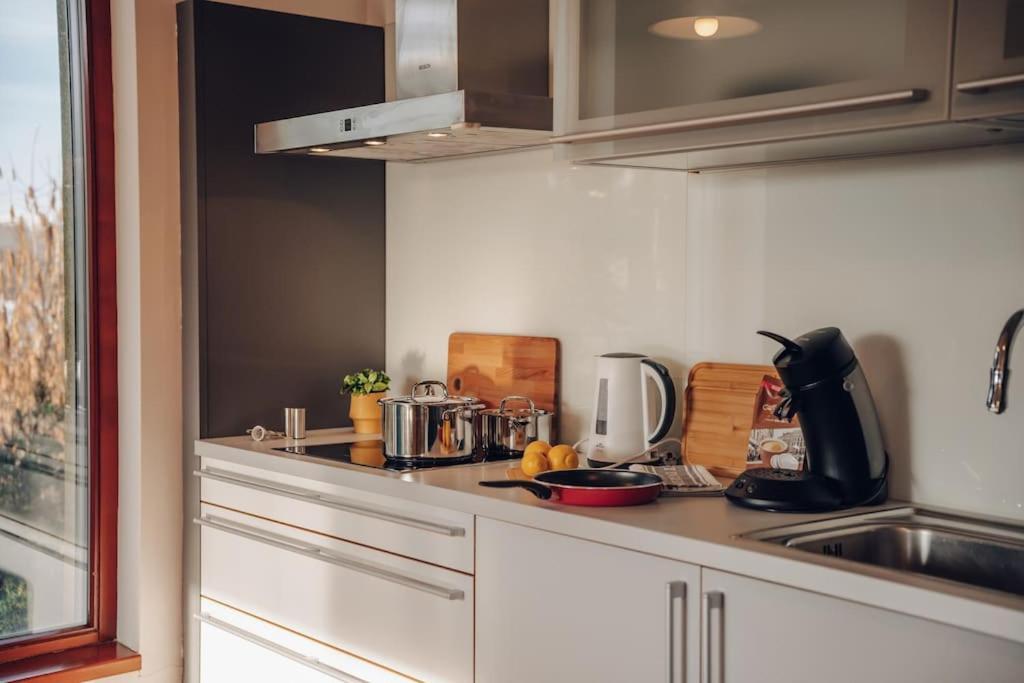 Design 3Bd Apartment Cooking Area In Architect Villa プラハ エクステリア 写真